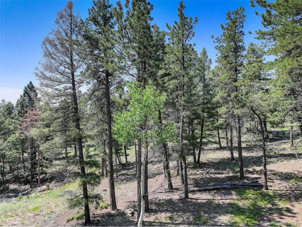 1002 Indian Creek Road Florissant, CO 80816