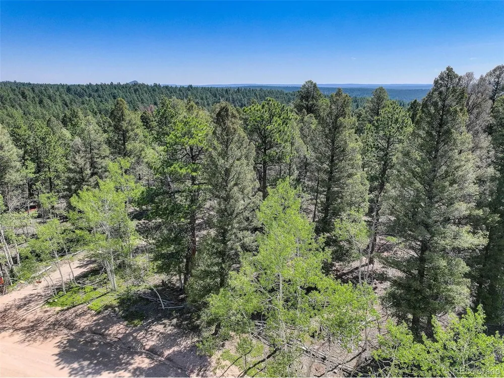 1002 Indian Creek Road Florissant, CO 80816