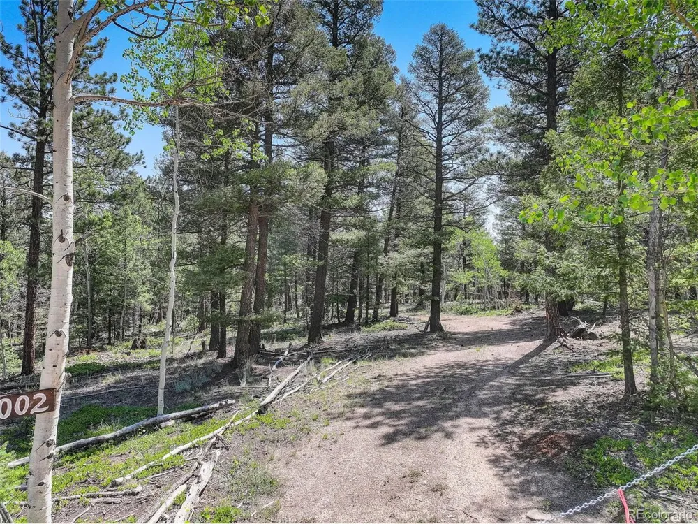 1002 Indian Creek Road Florissant, CO 80816