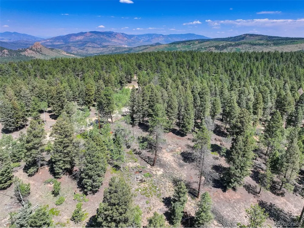 1002 Indian Creek Road Florissant, CO 80816