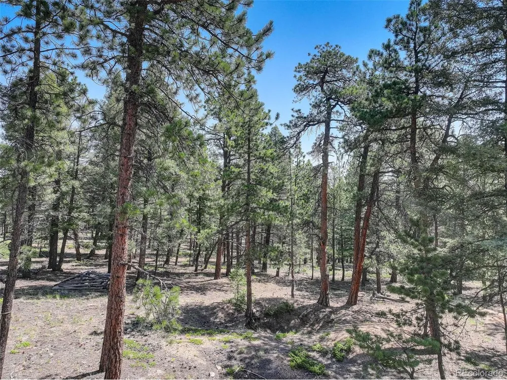 1002 Indian Creek Road Florissant, CO 80816