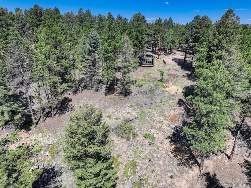 1002 Indian Creek Road Florissant, CO 80816