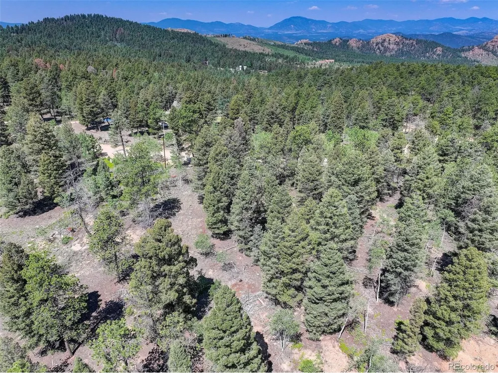 1002 Indian Creek Road Florissant, CO 80816