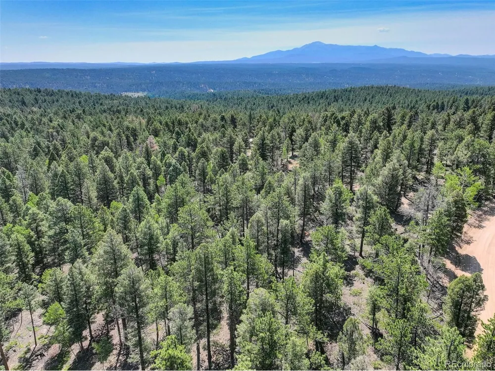 1002 Indian Creek Road Florissant, CO 80816
