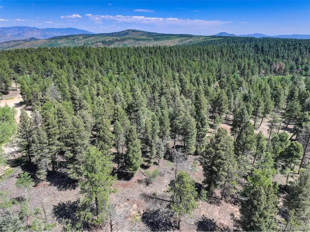 1002 Indian Creek Road Florissant, CO 80816