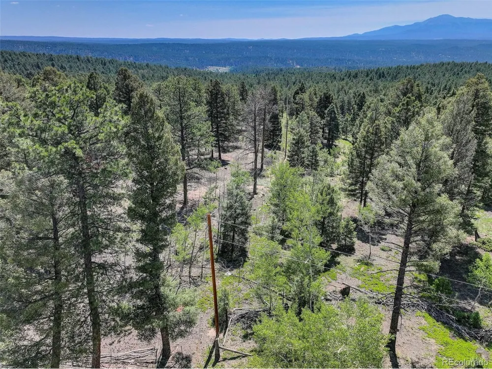 1002 Indian Creek Road Florissant, CO 80816