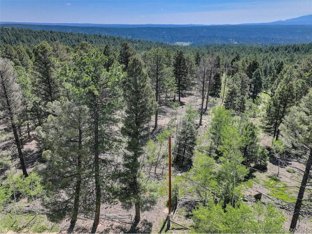 1002 Indian Creek Road Florissant, CO 80816
