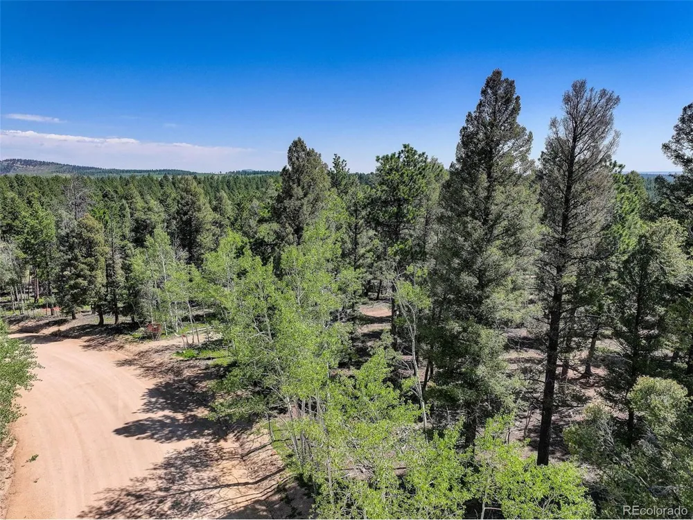 1002 Indian Creek Road Florissant, CO 80816