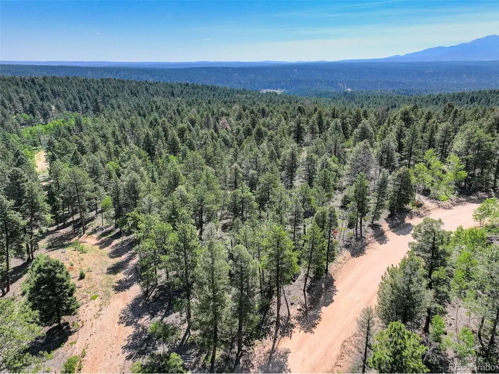 1002 Indian Creek Road Florissant, CO 80816