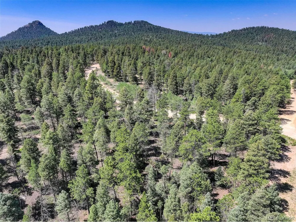 1002 Indian Creek Road Florissant, CO 80816