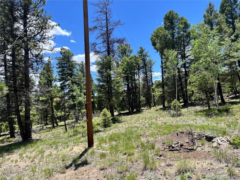 1002 Indian Creek Road Florissant, CO 80816