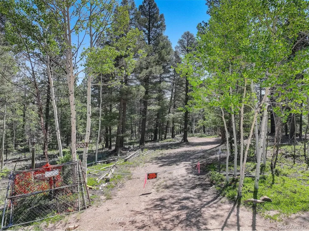 1002 Indian Creek Road Florissant, CO 80816