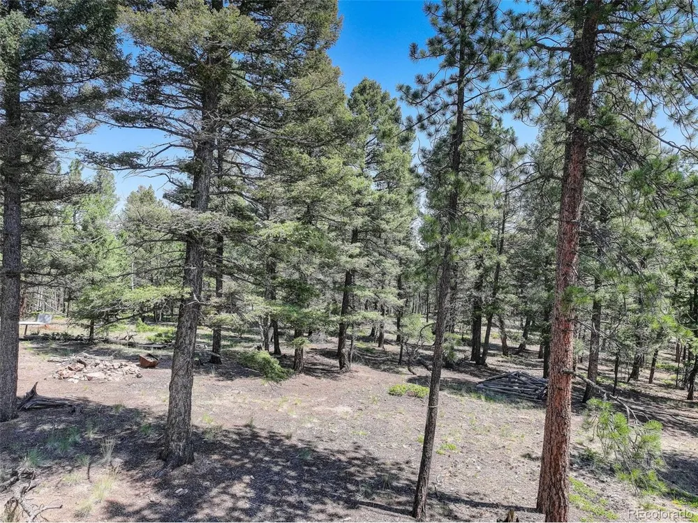 1002 Indian Creek Road Florissant, CO 80816