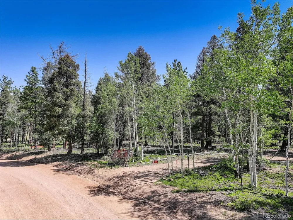 1002 Indian Creek Road Florissant, CO 80816