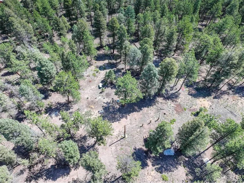 1002 Indian Creek Road Florissant, CO 80816