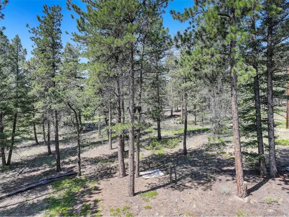 1002 Indian Creek Road Florissant, CO 80816