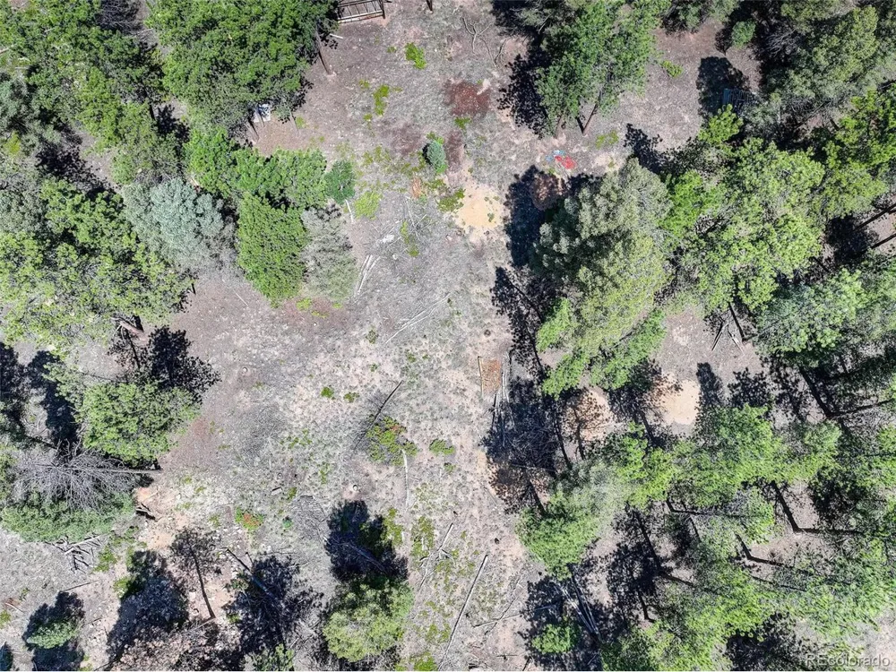 1002 Indian Creek Road Florissant, CO 80816