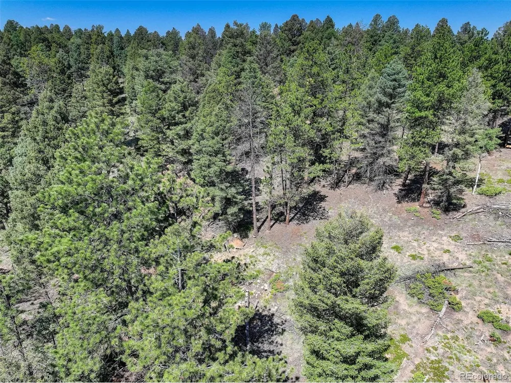 1002 Indian Creek Road Florissant, CO 80816