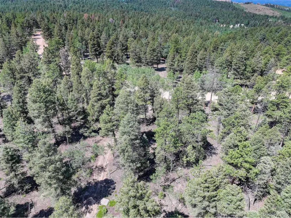 1002 Indian Creek Road Florissant, CO 80816