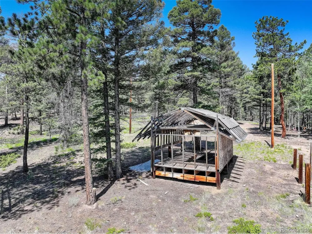 1002 Indian Creek Road Florissant, CO 80816