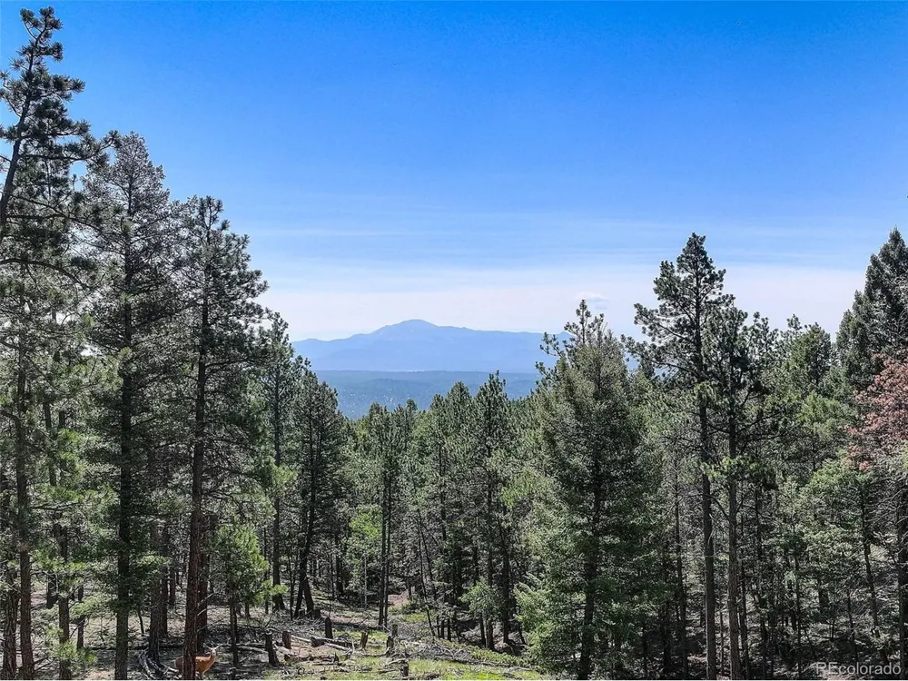 1002 Indian Creek Road Florissant, CO 80816