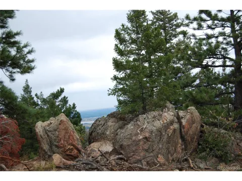 13927 Dancing Bear Trail