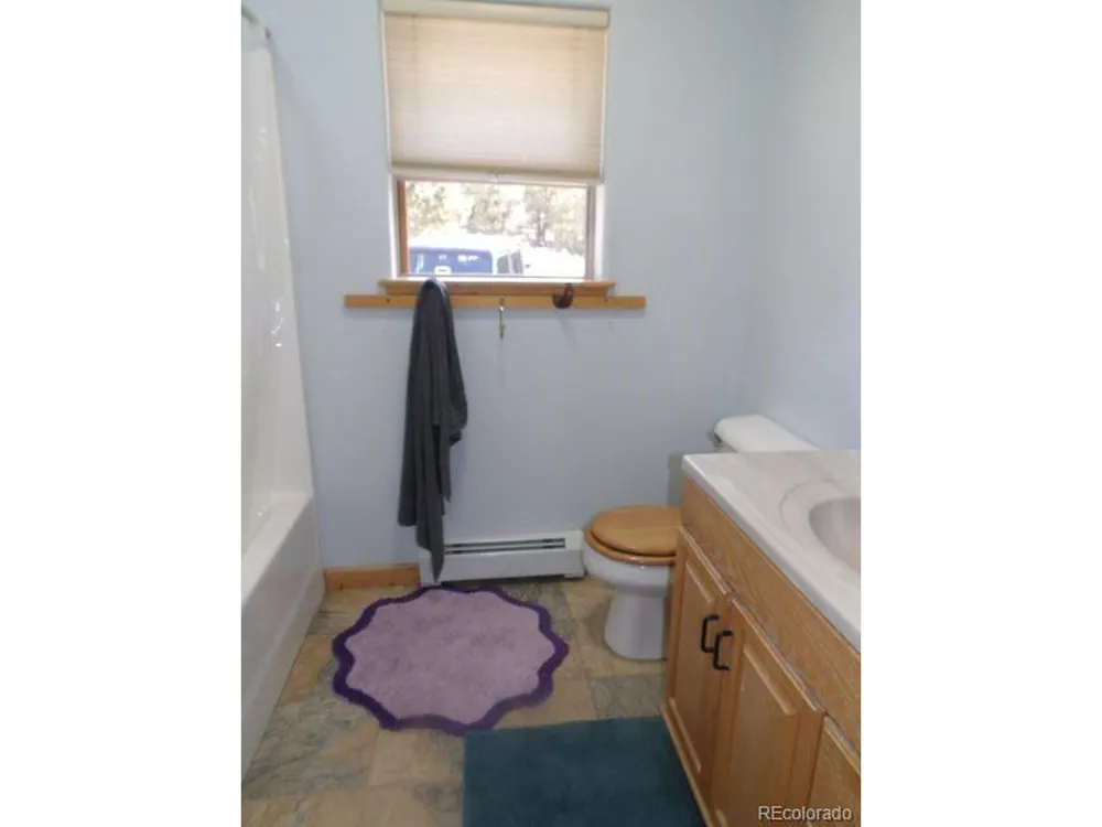 2720 Carefree Way Crestone, CO 81131