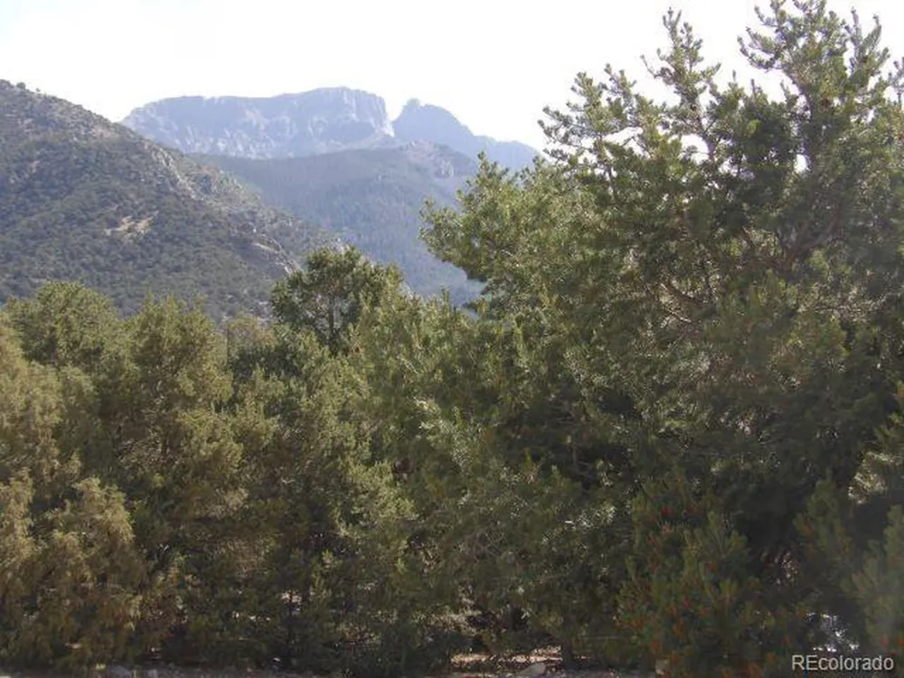 2720 Carefree Way Crestone, CO 81131