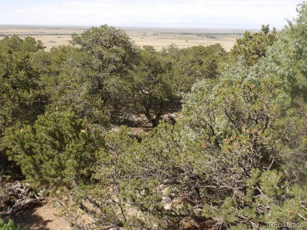2720 Carefree Way Crestone, CO 81131