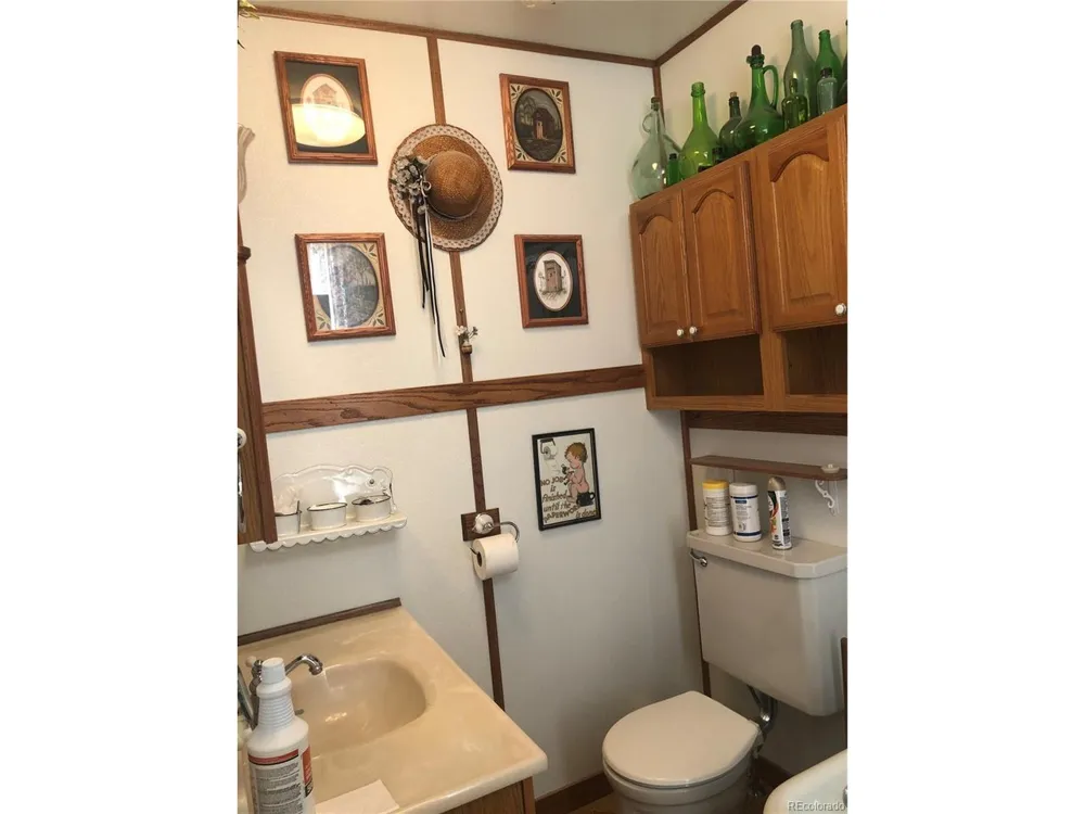 453 Mckinley Street Walden, CO 80480