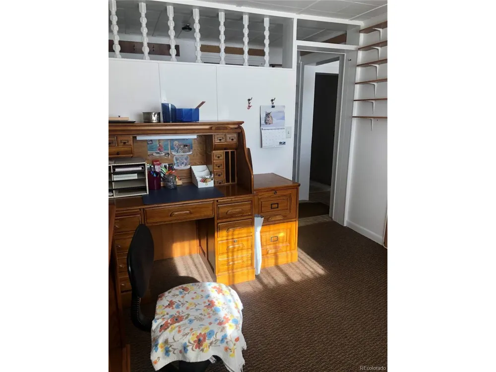 453 Mckinley Street Walden, CO 80480