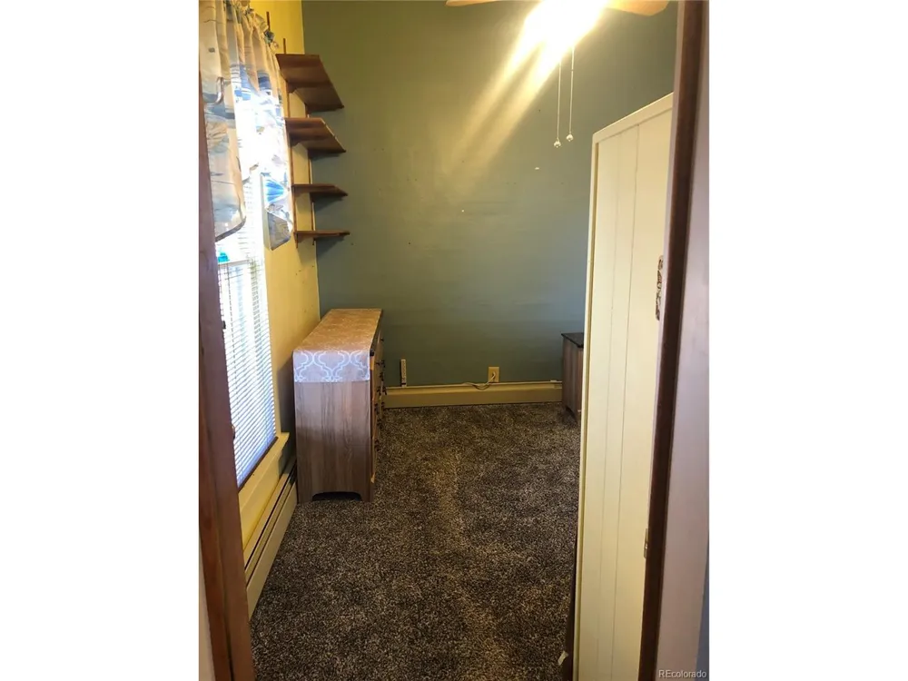 453 Mckinley Street Walden, CO 80480