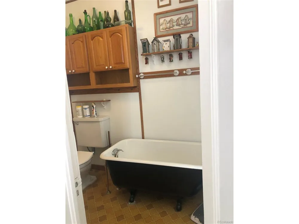 453 Mckinley Street Walden, CO 80480