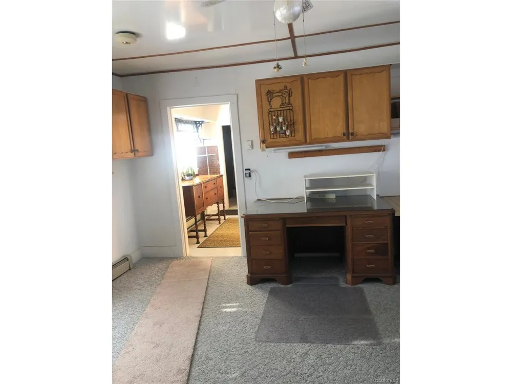 453 Mckinley Street Walden, CO 80480