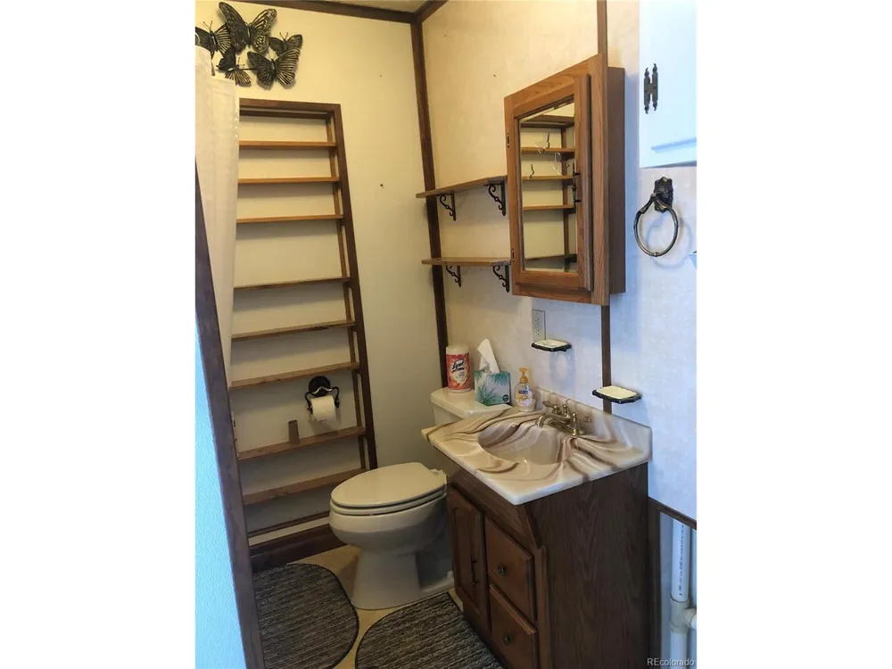 453 Mckinley Street Walden, CO 80480