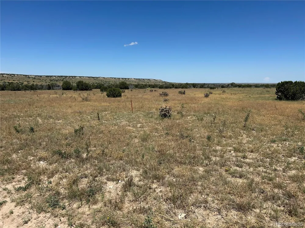 17 Longhorn Ranch Model, CO 81059