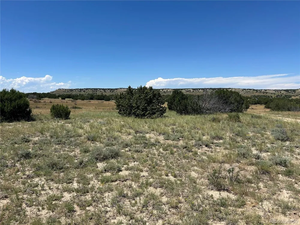 17 Longhorn Ranch Model, CO 81059