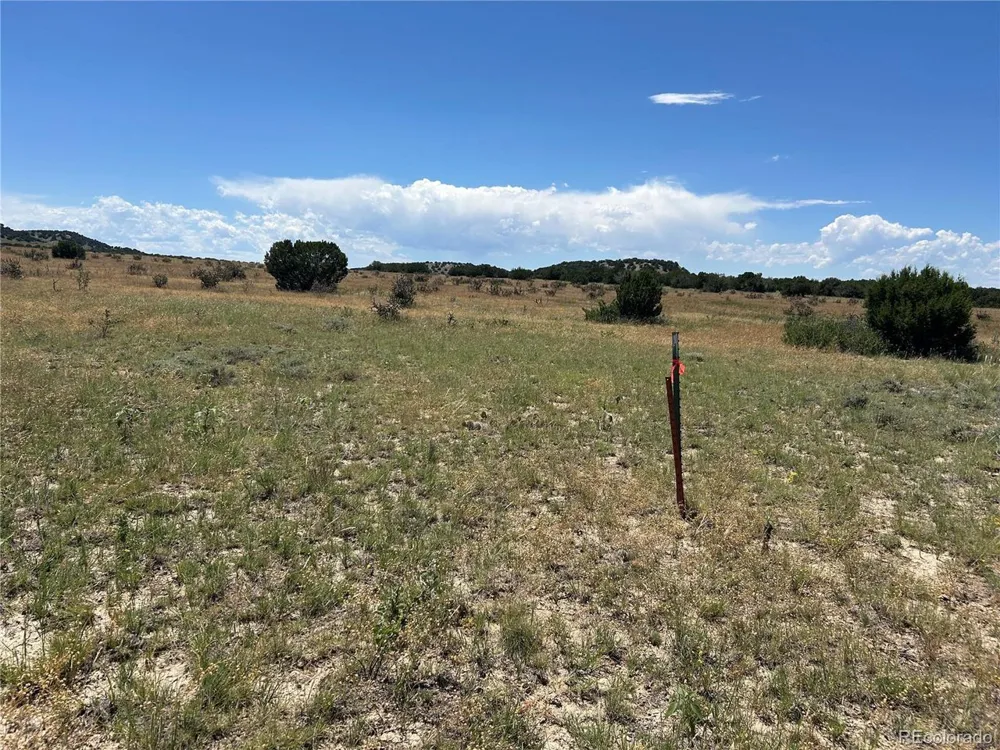 17 Longhorn Ranch Model, CO 81059