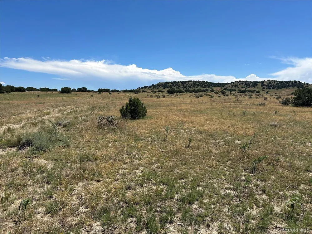 17 Longhorn Ranch Model, CO 81059