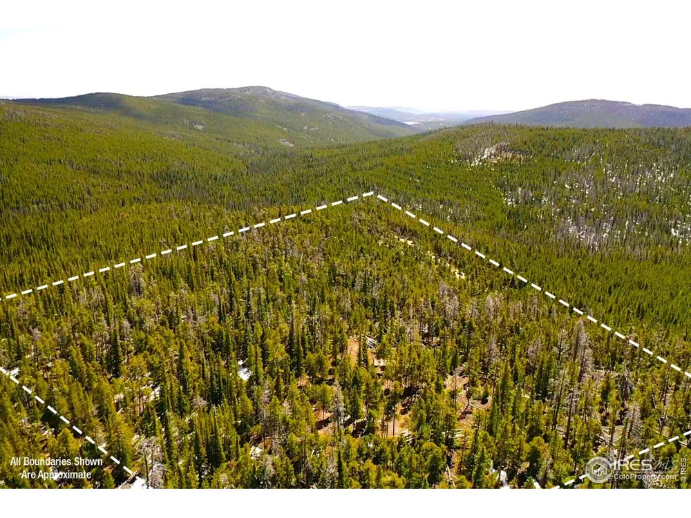 0 Forest Service 169 Road #Parcel #3 Red Feather Lakes, CO 80545