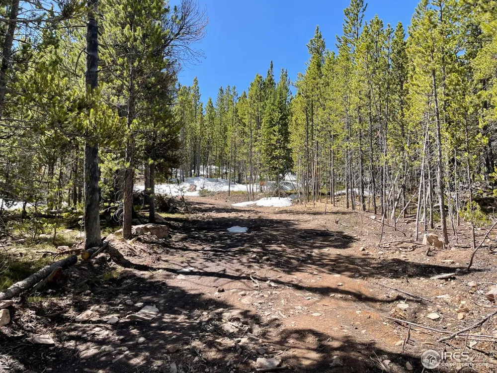 0 Forest Service 169 Road #Parcel #3 Red Feather Lakes, CO 80545