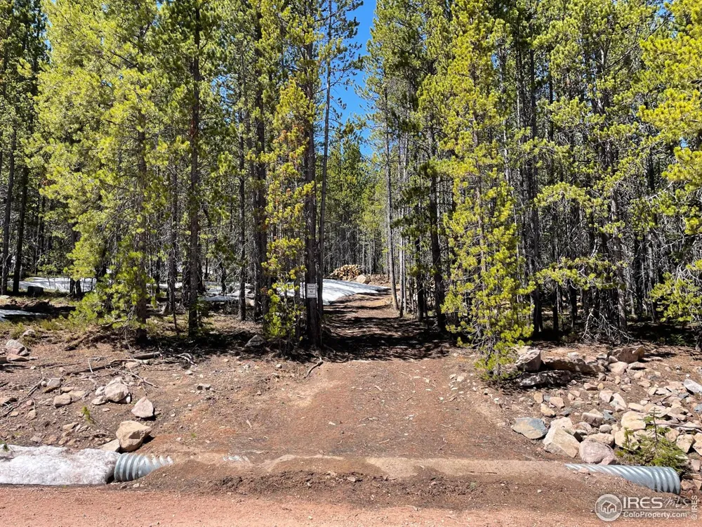 0 Forest Service 169 Road #Parcel #3 Red Feather Lakes, CO 80545