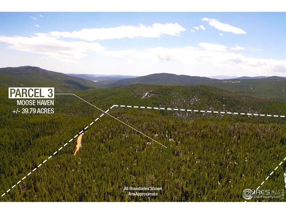 0 Forest Service 169 Road #Parcel #3 Red Feather Lakes, CO 80545