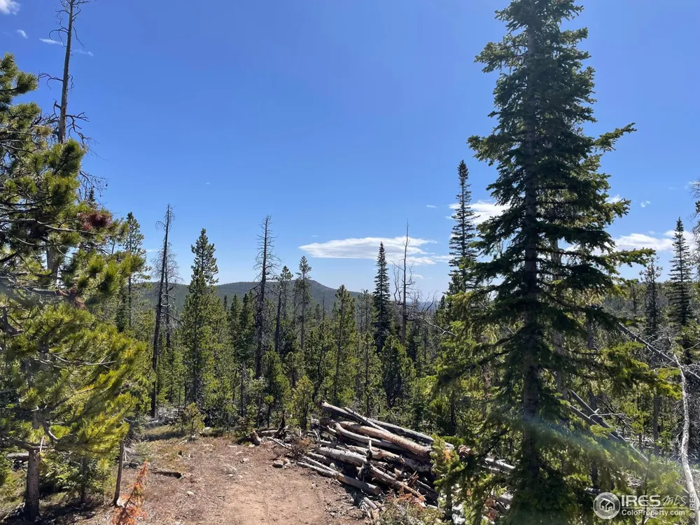 0 Forest Service 169 Road #Parcel #3 Red Feather Lakes, CO 80545