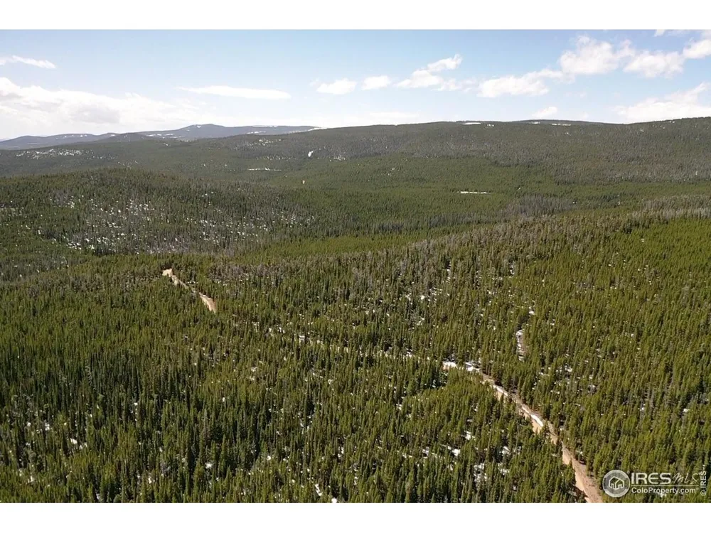 0 Forest Service 169 Road #Parcel #3 Red Feather Lakes, CO 80545