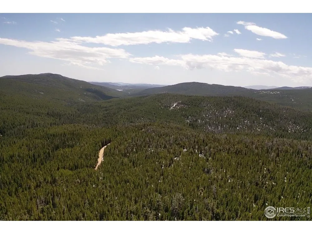 0 Forest Service 169 Road #Parcel #3 Red Feather Lakes, CO 80545