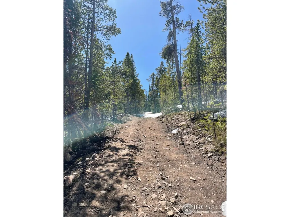 0 Forest Service 169 Road #Parcel #3 Red Feather Lakes, CO 80545