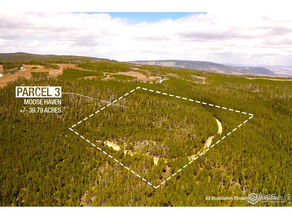 0 Forest Service 169 Road #Parcel #3 Red Feather Lakes, CO 80545