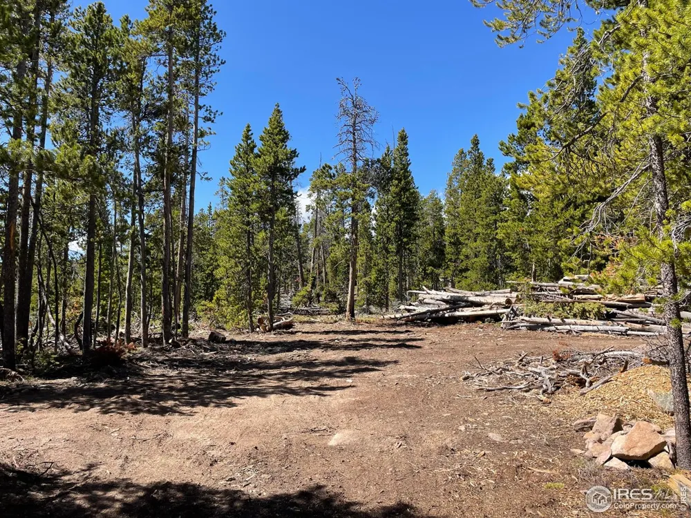 0 Forest Service 169 Road #Parcel #3 Red Feather Lakes, CO 80545