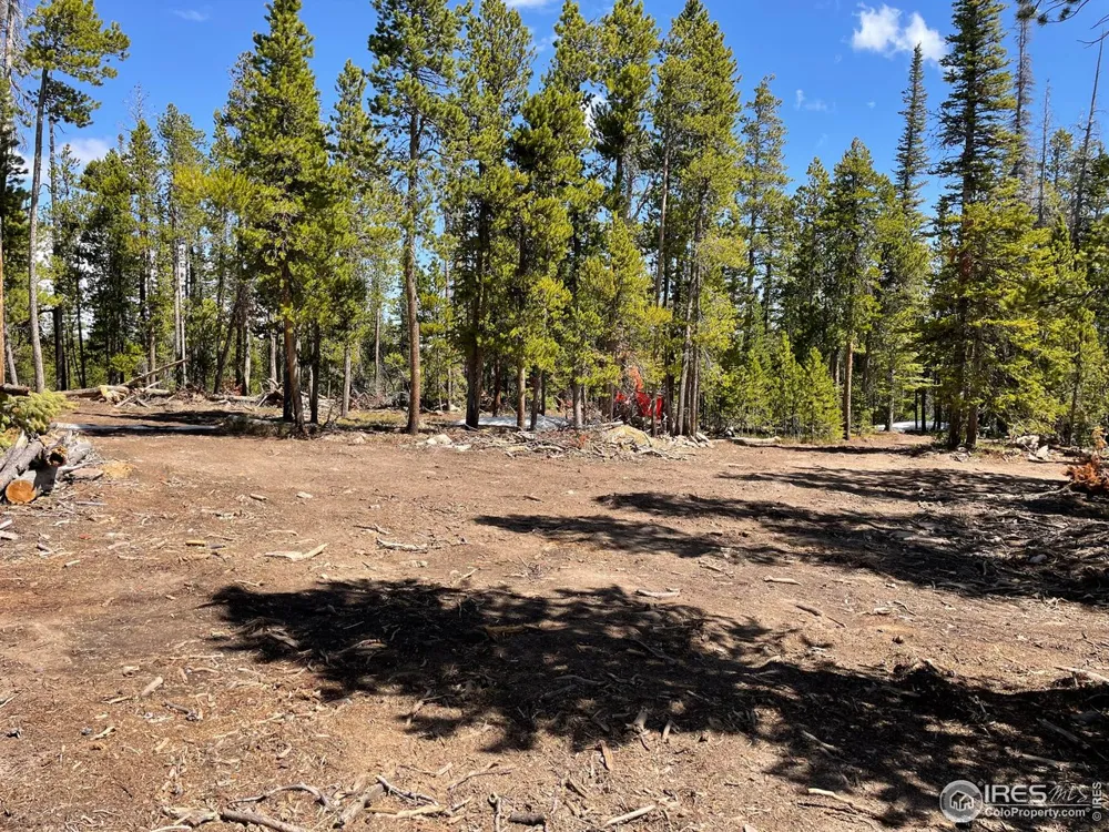 0 Forest Service 169 Road #Parcel #3 Red Feather Lakes, CO 80545